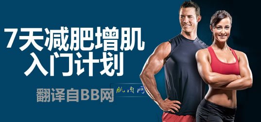 《7天減肥增肌》第三天：力量訓練計劃