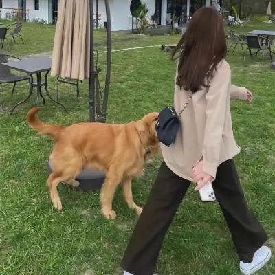 春娘